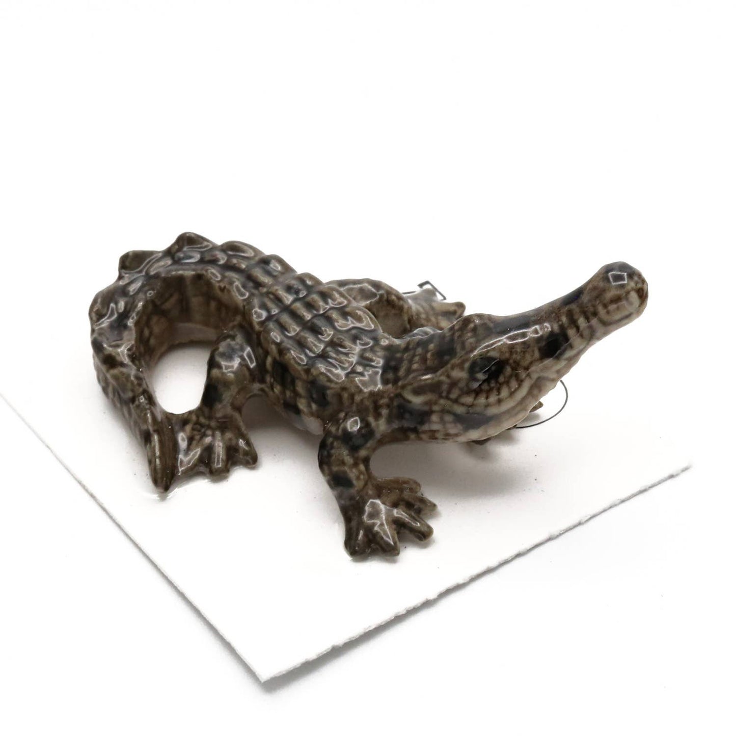 Scales American Crocodile Porcelain Miniature