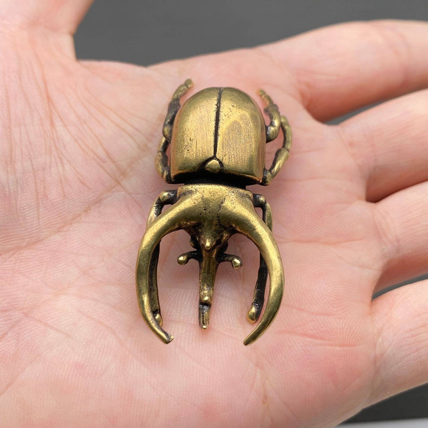 Brass Rhino Beetle Crafts Desktop Ornaments Decoration
