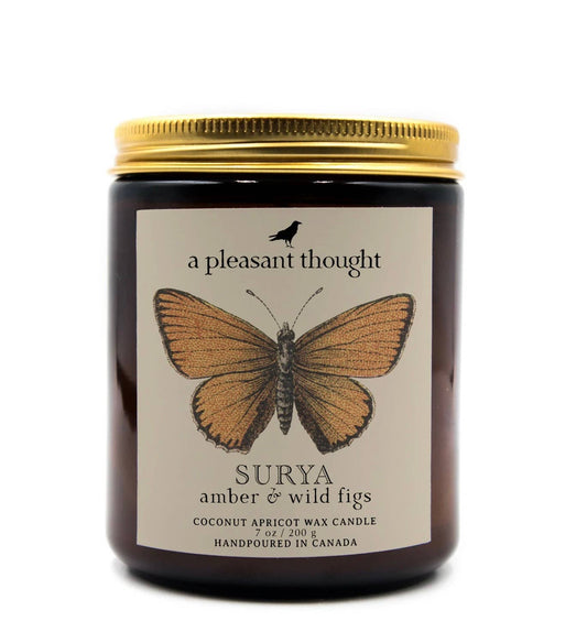 SURYA | AMBER & WILD FIGS | JAR CANDLE