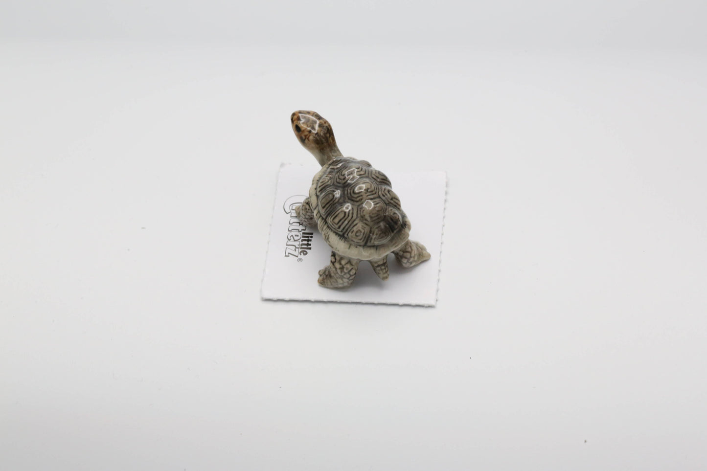 Darwin Galapagos Tortoise Porcelain Miniature