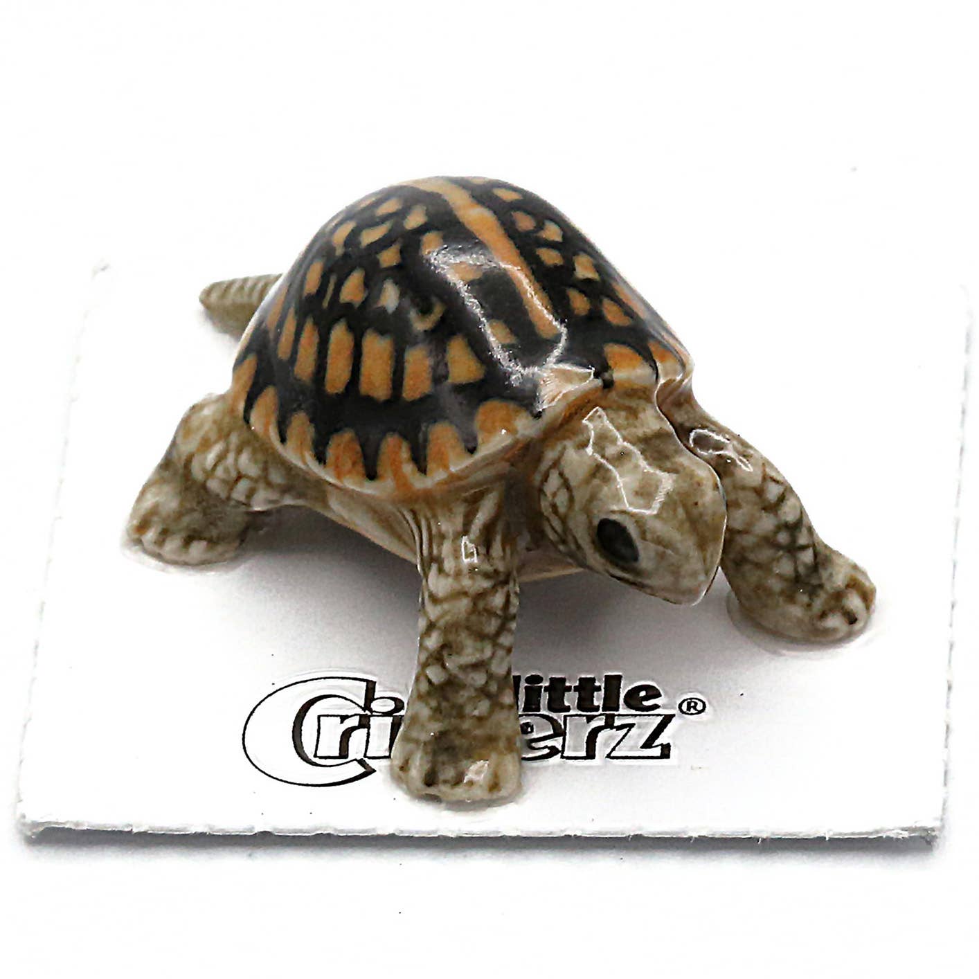 Dom Box Turtle Porcelain Miniature