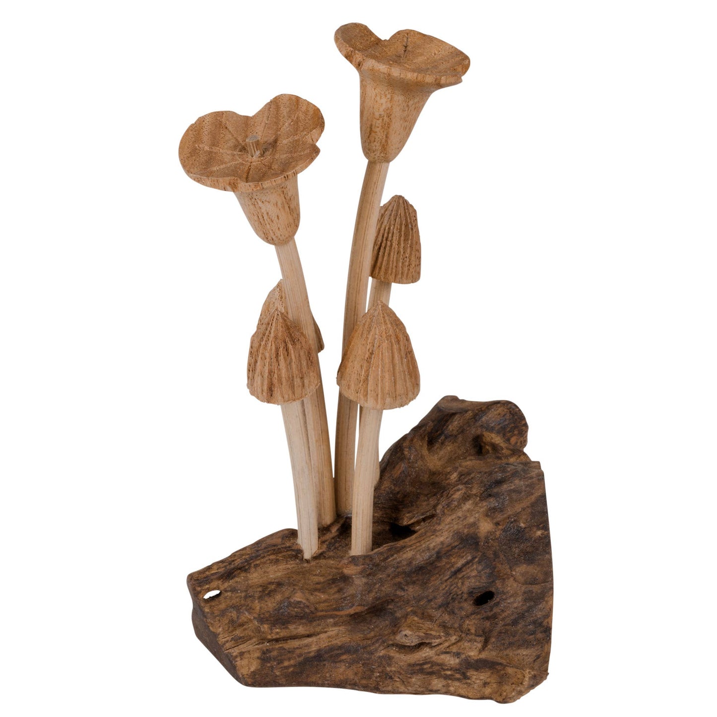BUTTERFLIES W/MUSHROOMS $49.99