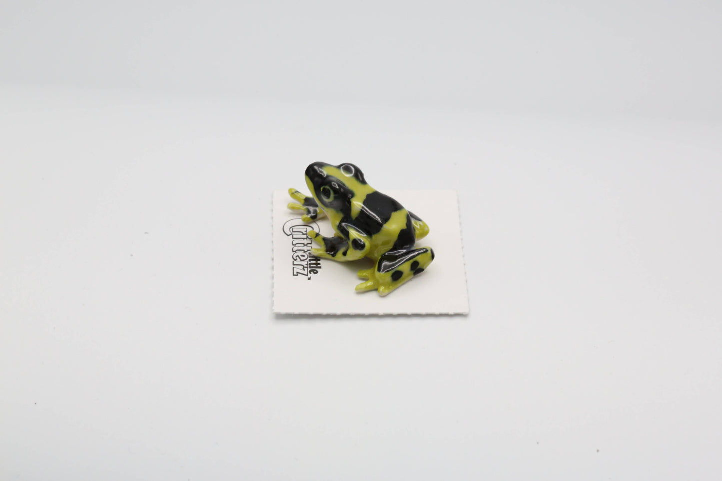 Harlequin Poison Dart Frog Porcelain Miniature