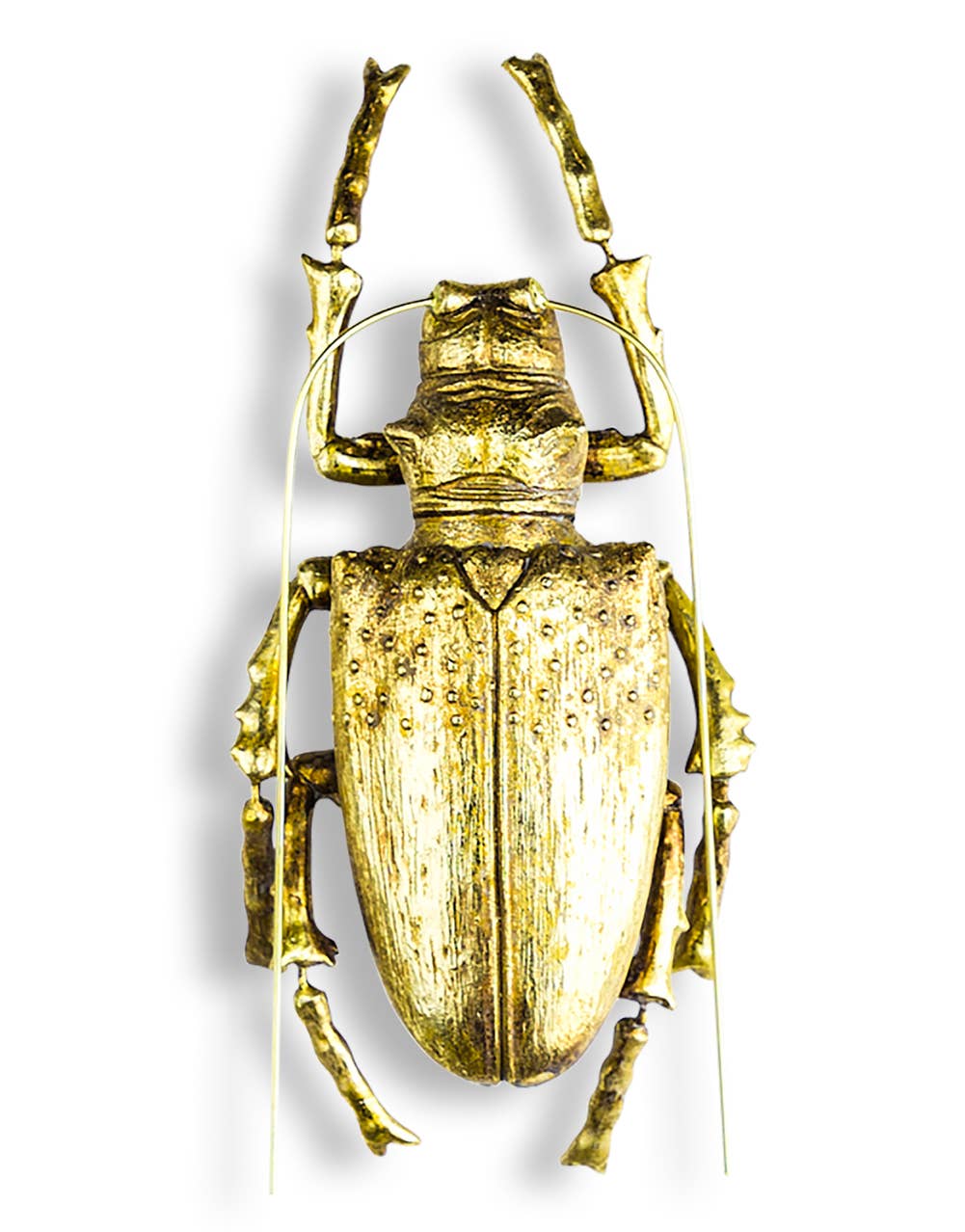 Large Gold Beetle Wall Hanging
