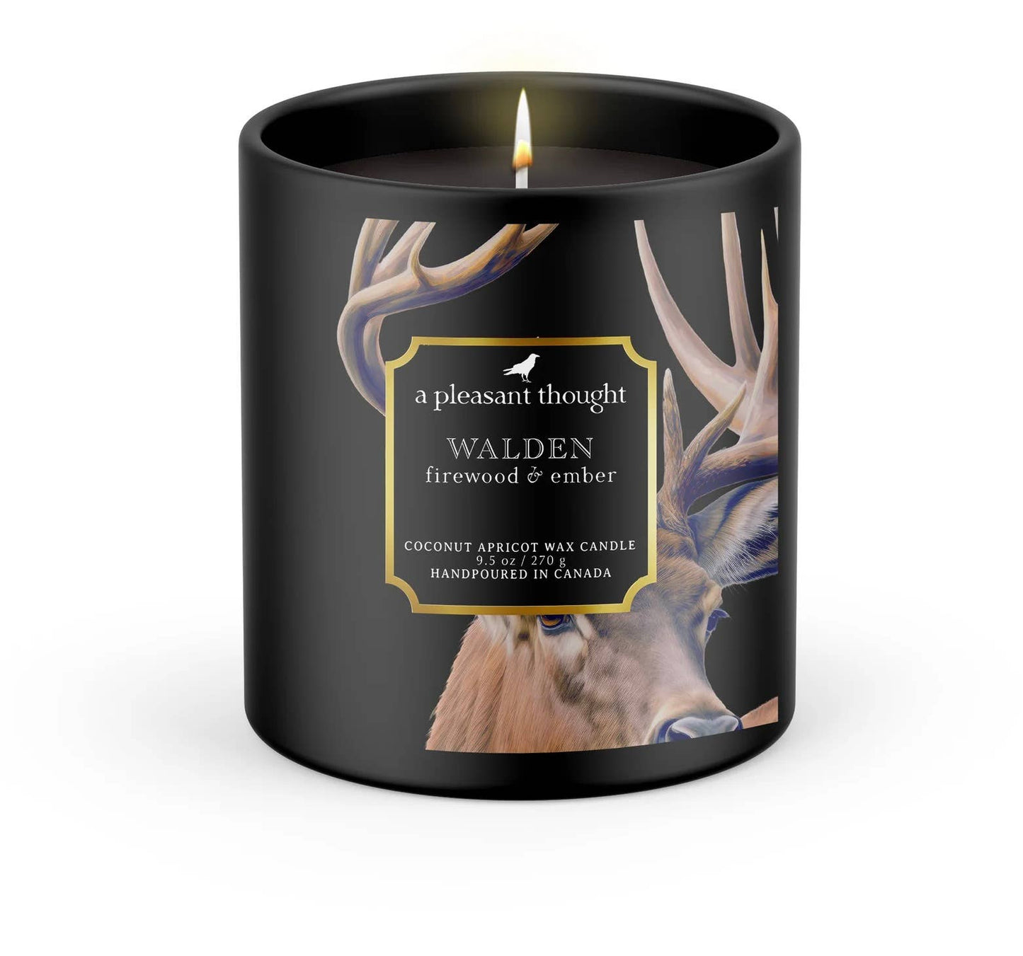 WALDEN | FIREWOOD & EMBER | RAVEN CANDLE