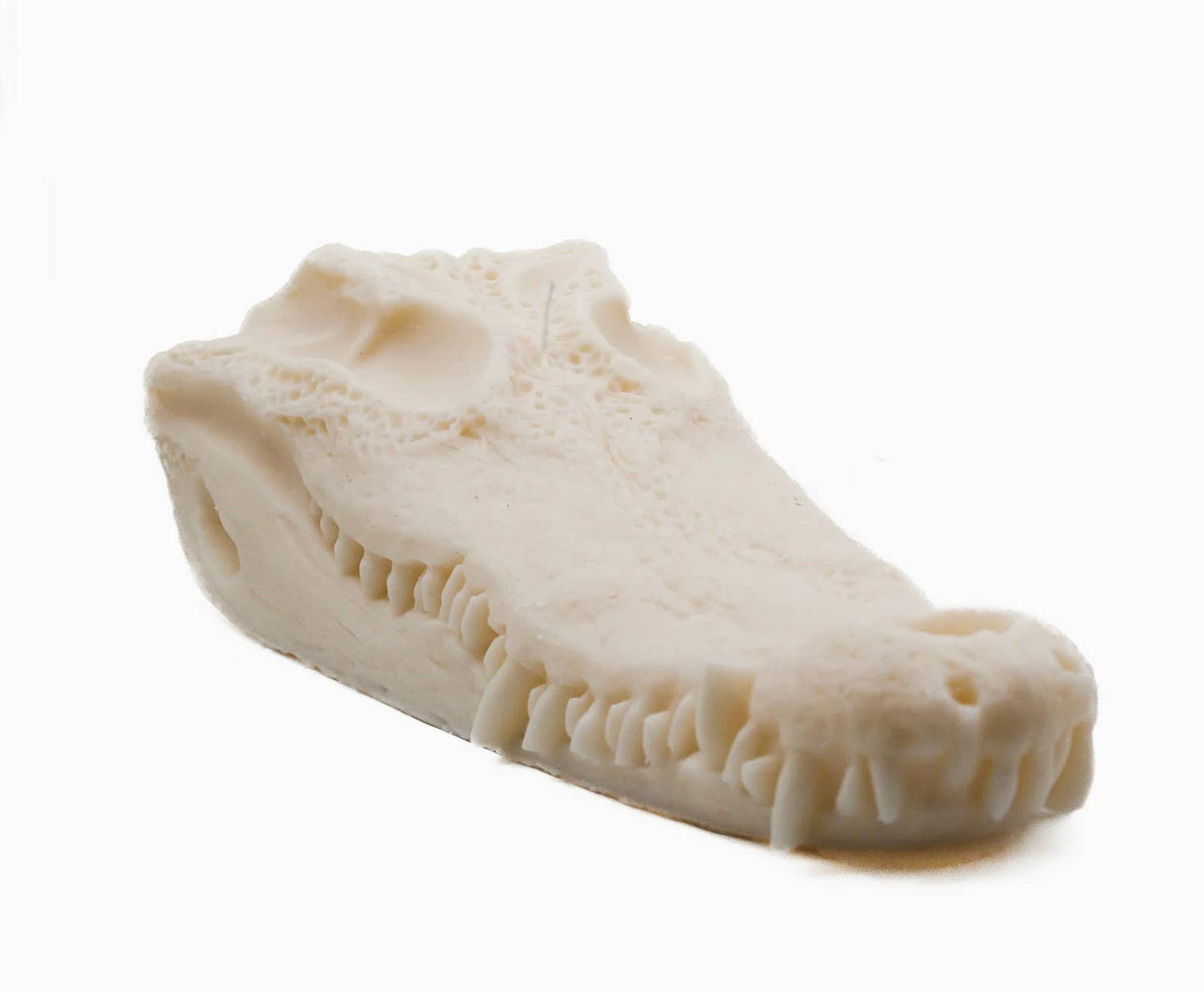 Crocodile Skull Candle | Pillar