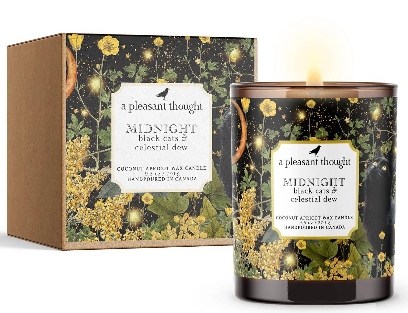 Midnight | Black Cats & Celestial Dew | Candle