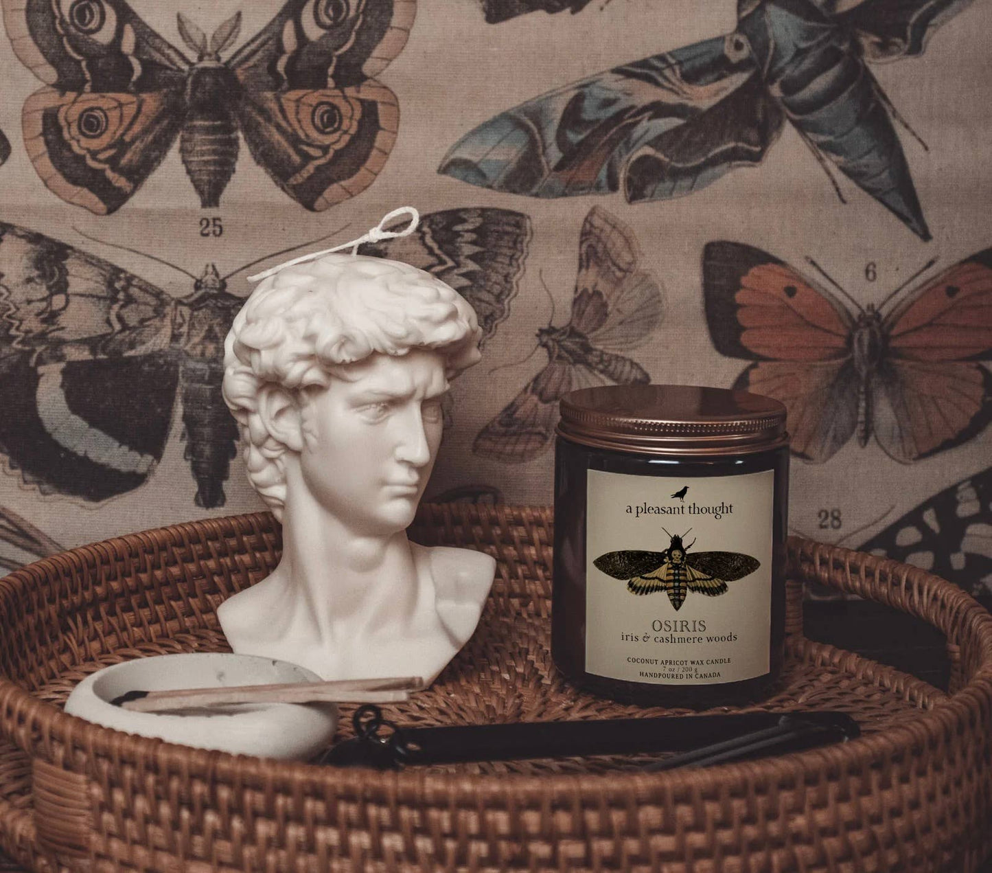 OSIRIS | IRIS & CASHMERE WOODS | JAR CANDLE