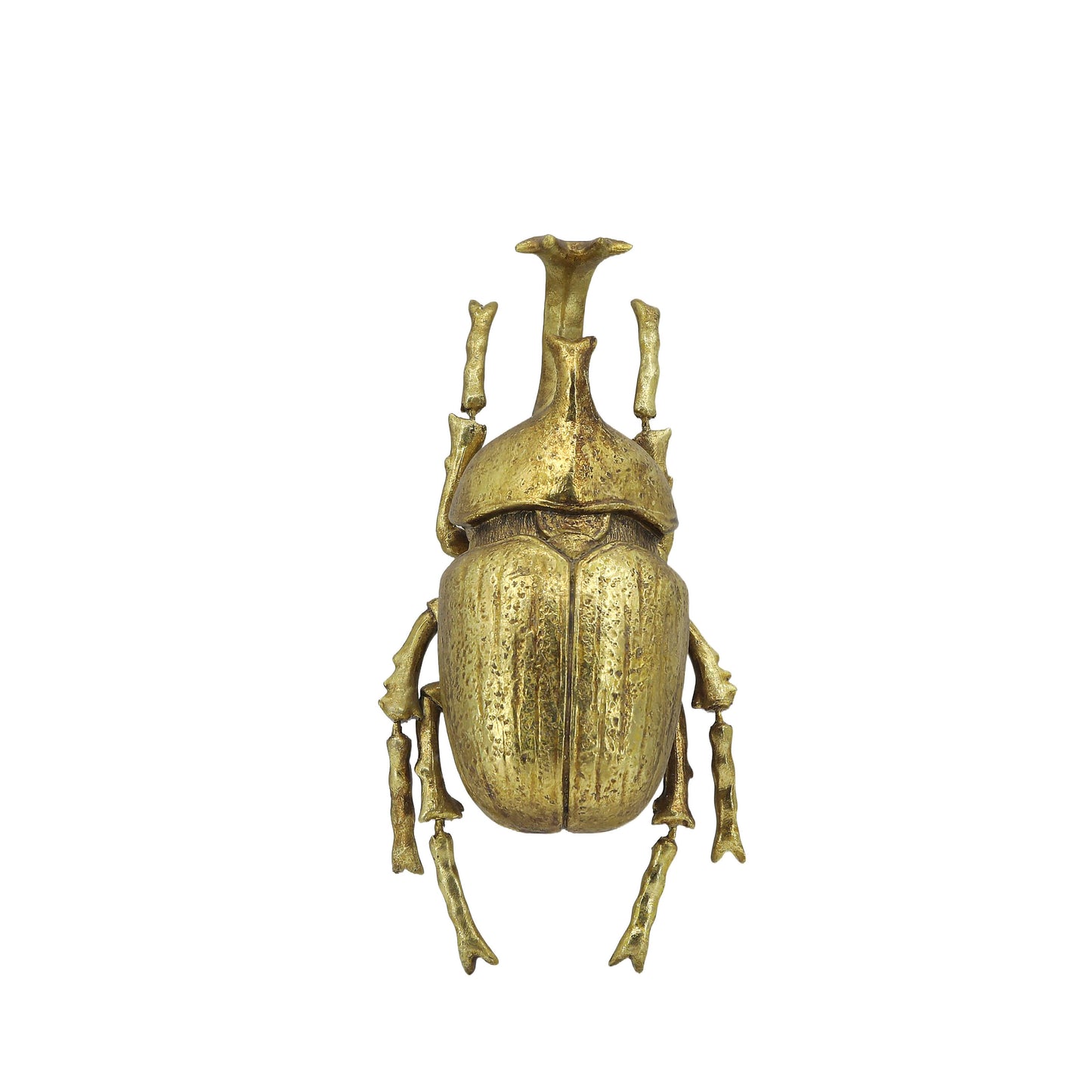 Gold Elephant Beetle Wall Décor (Small Version)