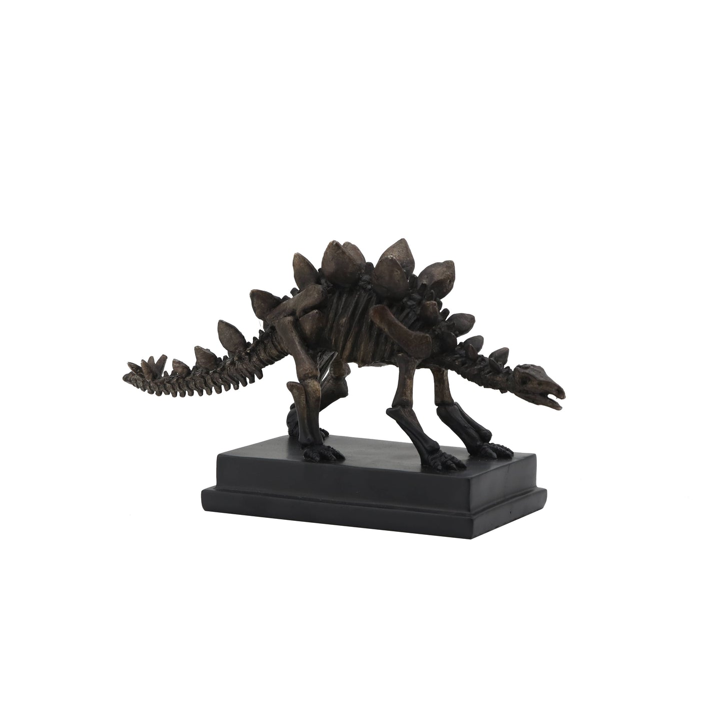 Stegosaurus Dinosaur Fossil on Base