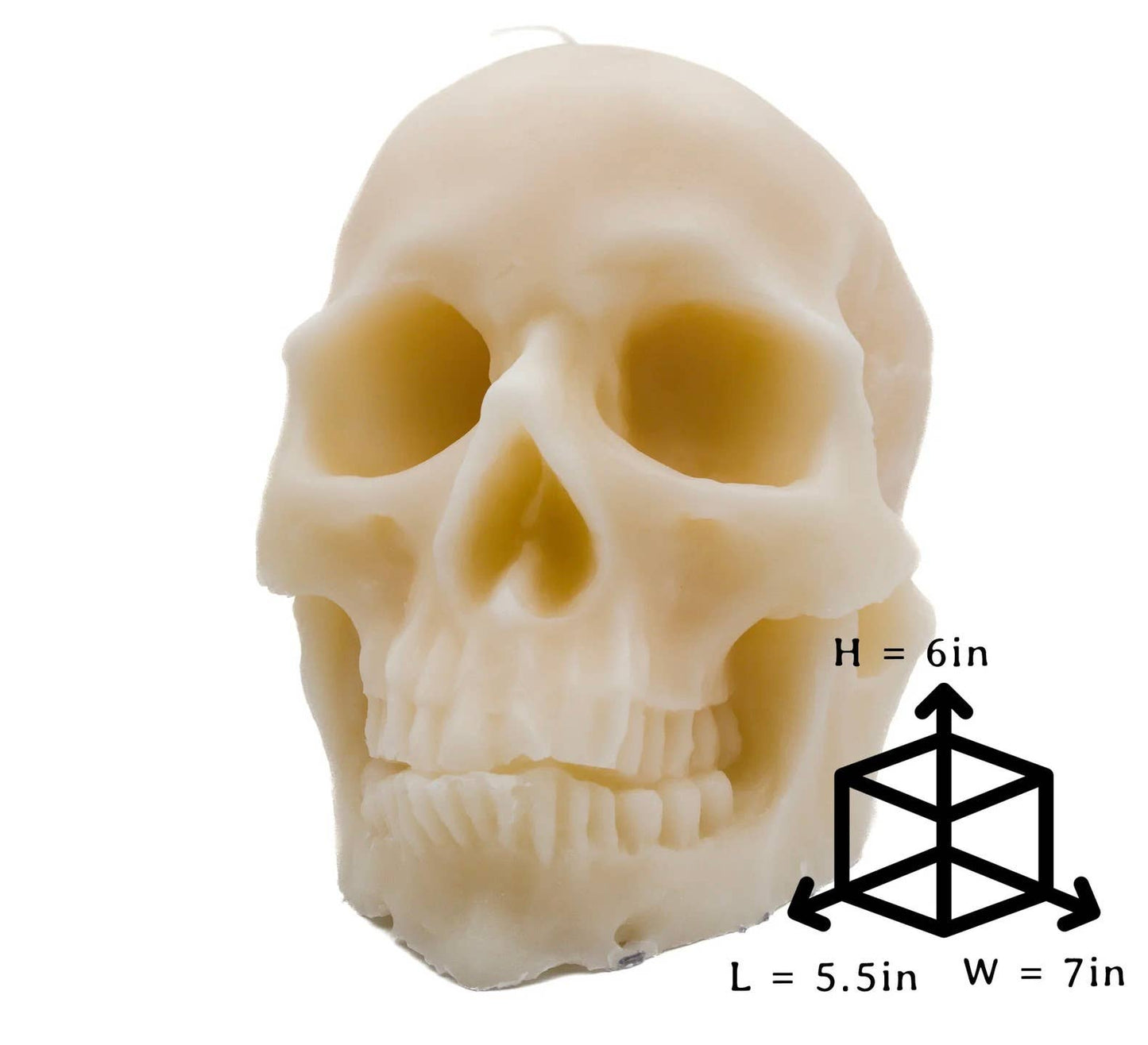 LARGE HUMAN SKULL CANDLE | PILLAR