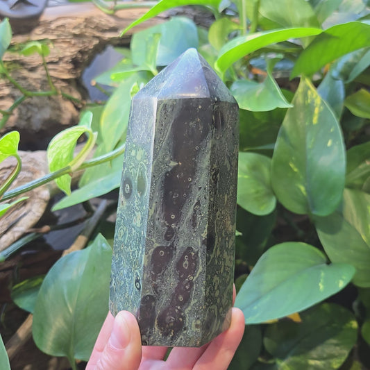 Kambaba Jasper Tower #2