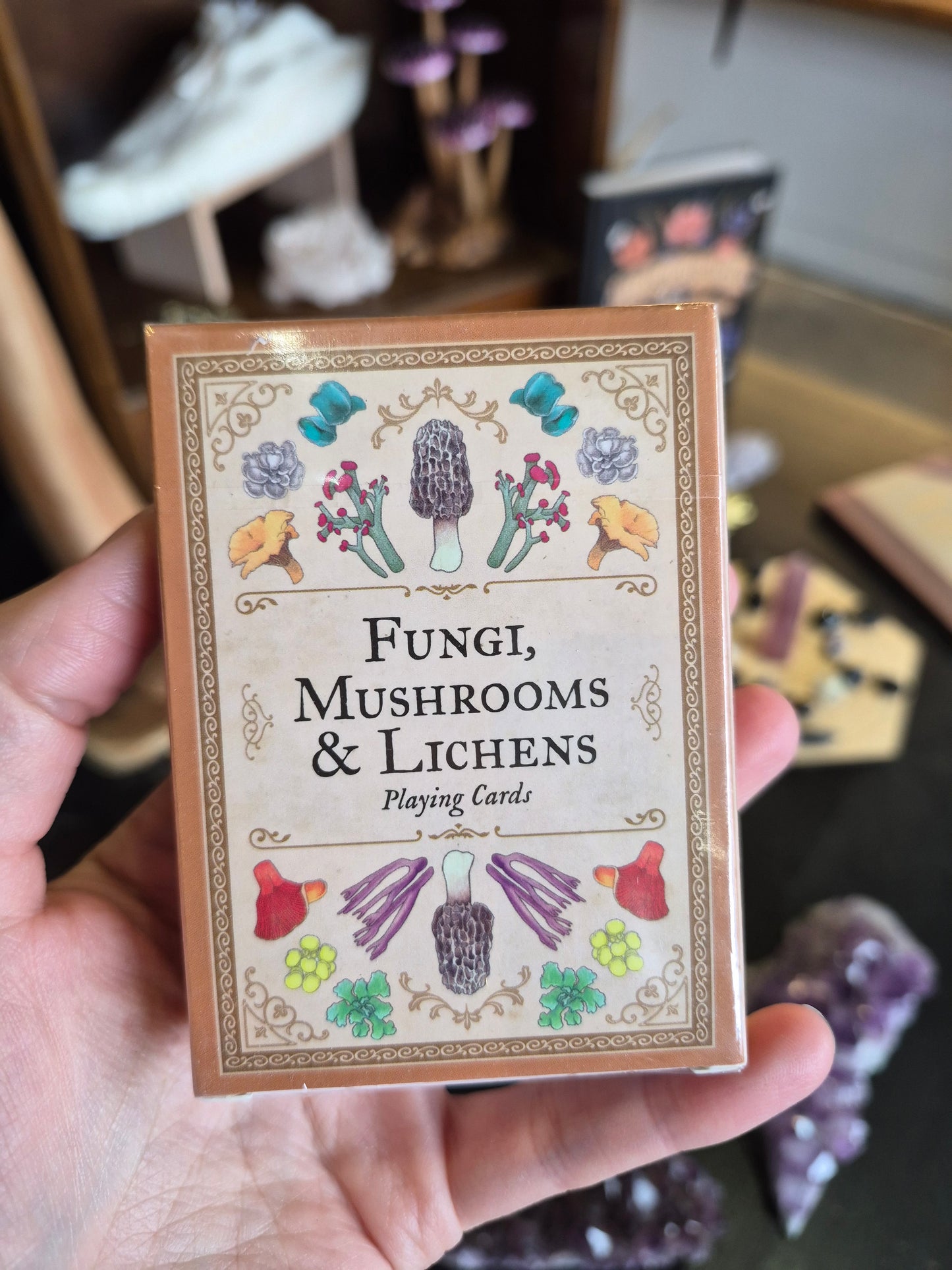 Fungi, Mushrooms & Lichen Playing Cards