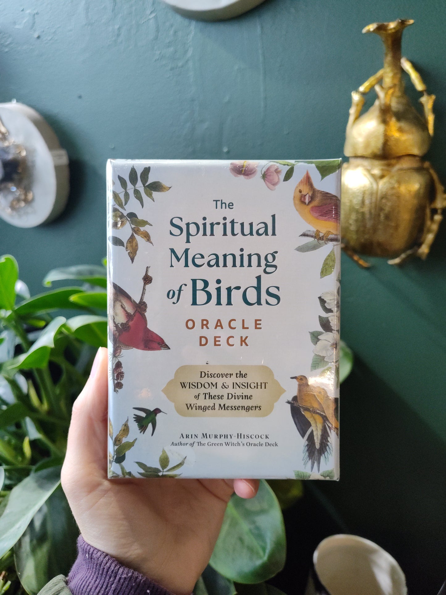 The Spiritual Meaning of Birds Oracle Deck