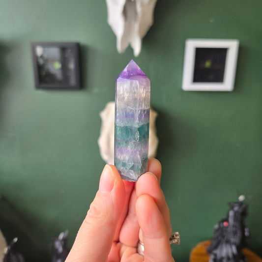 Fluorite Tower $27
