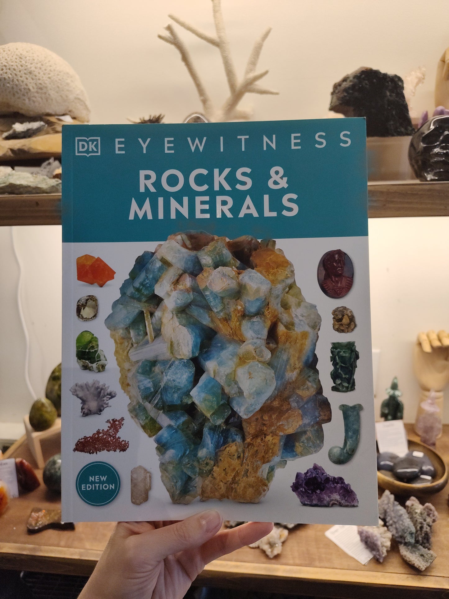 Rocks & Minerals