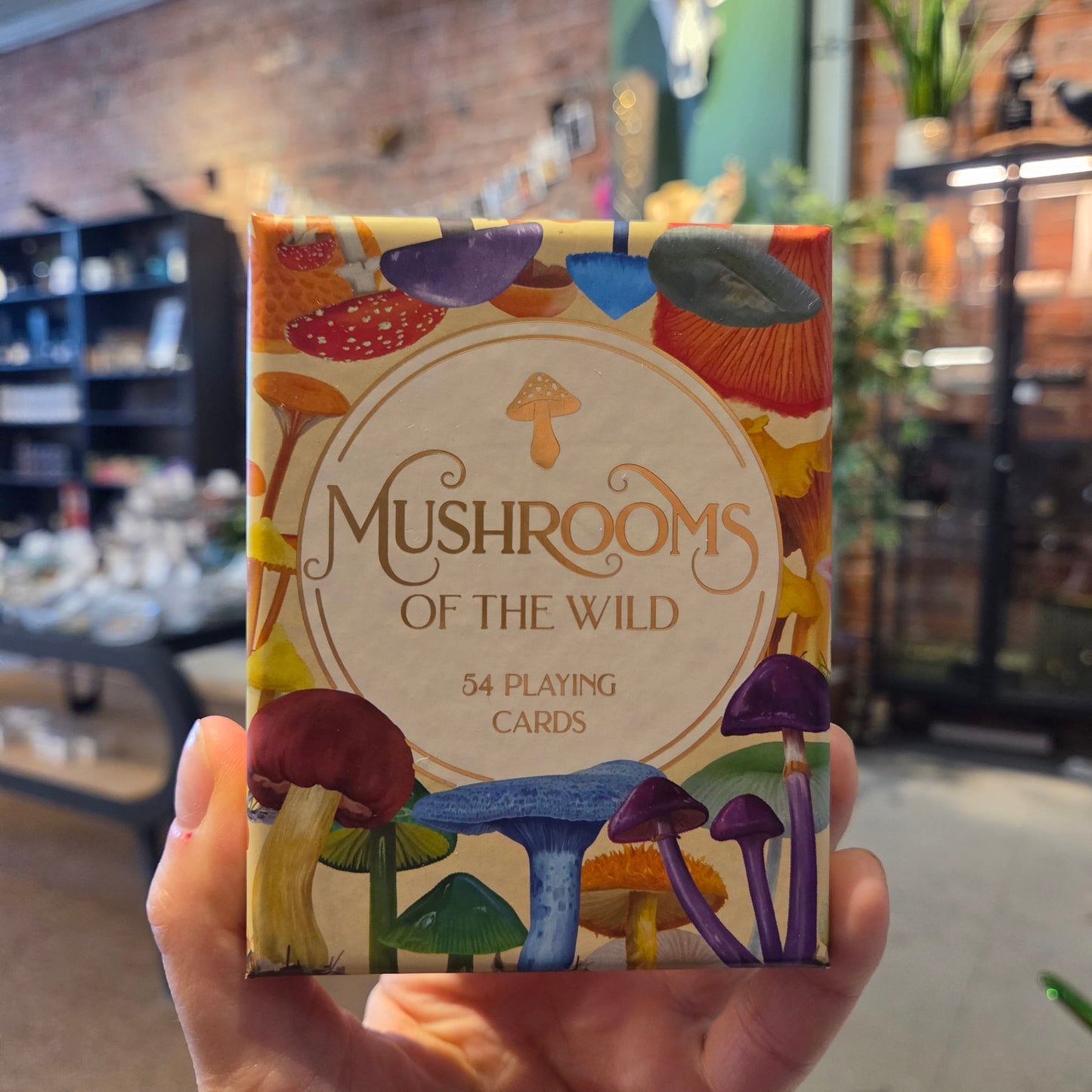 Mushrooms Of The Wild