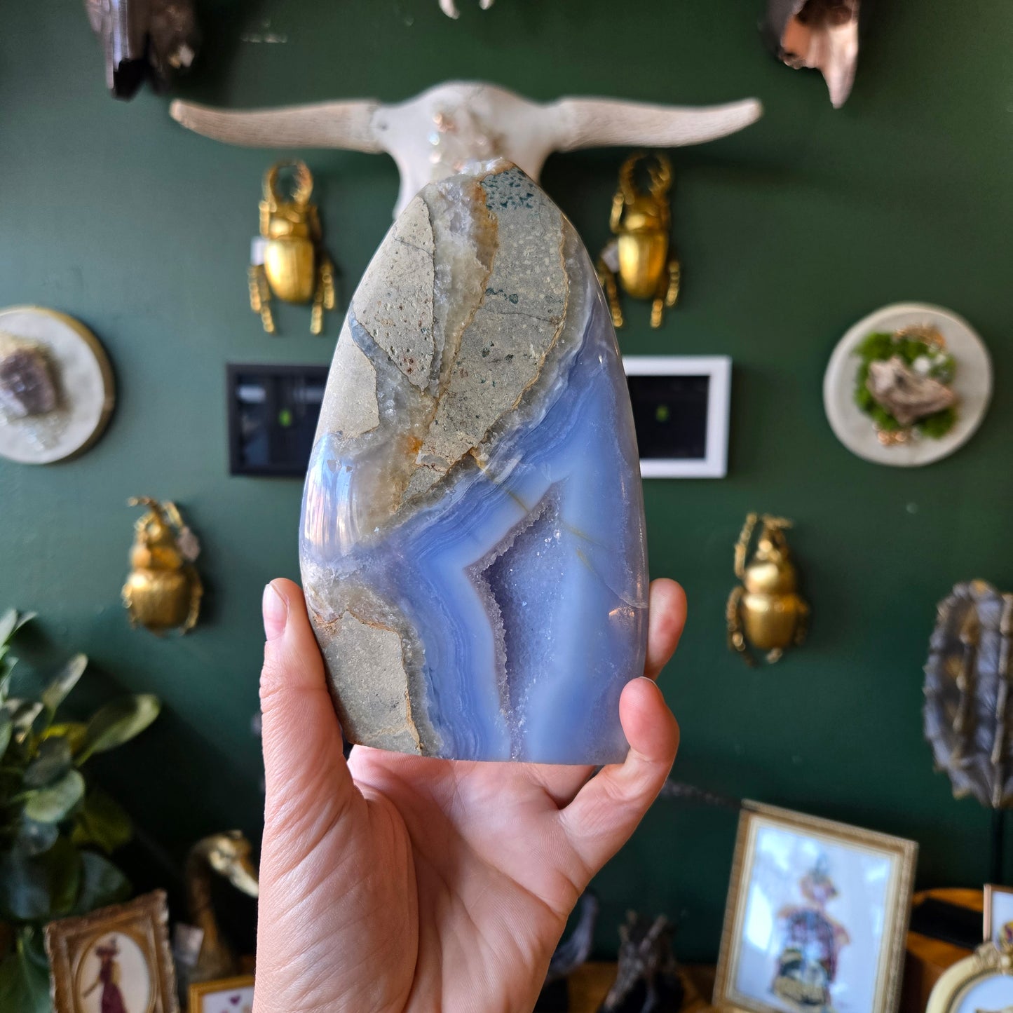 Blue Lace Agate Freeform