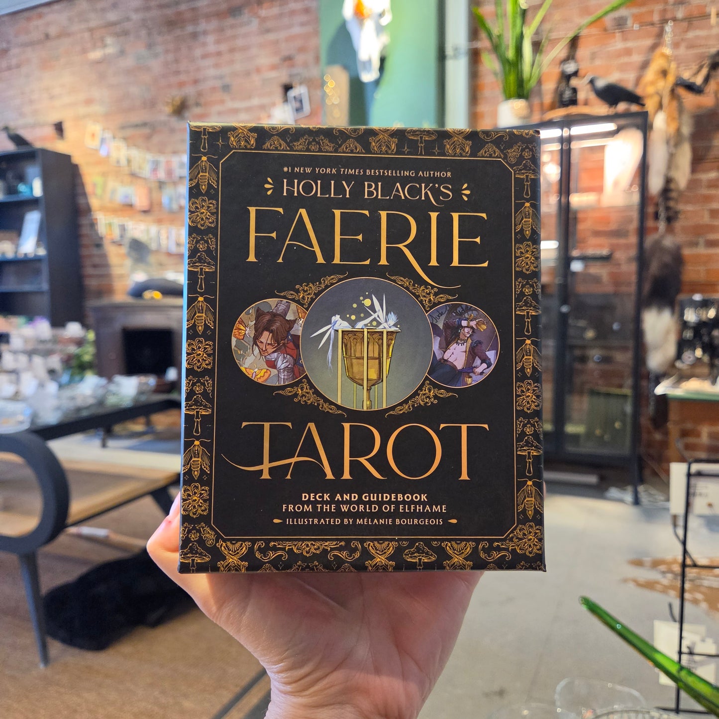 Holly Black's Faerie Tarot