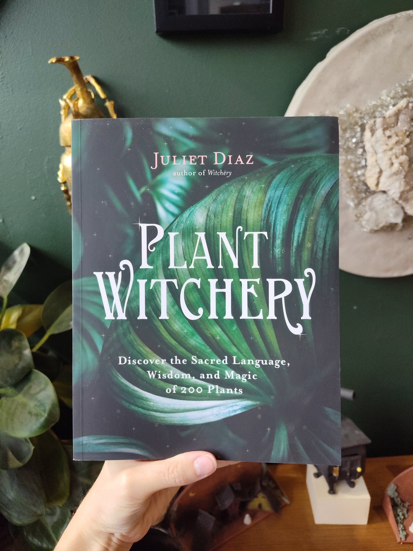 Plant Witchery
