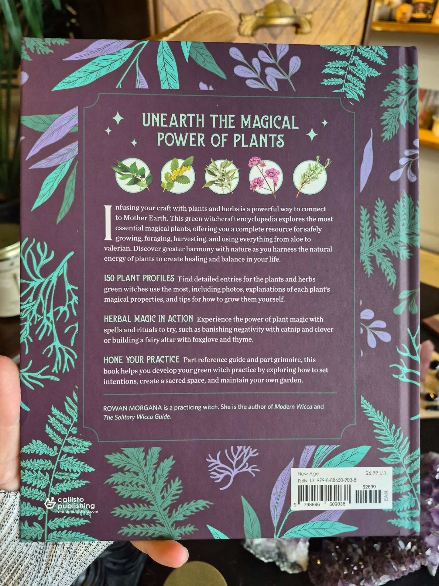 The Green Witch's Herb & Plant Encyclopedia