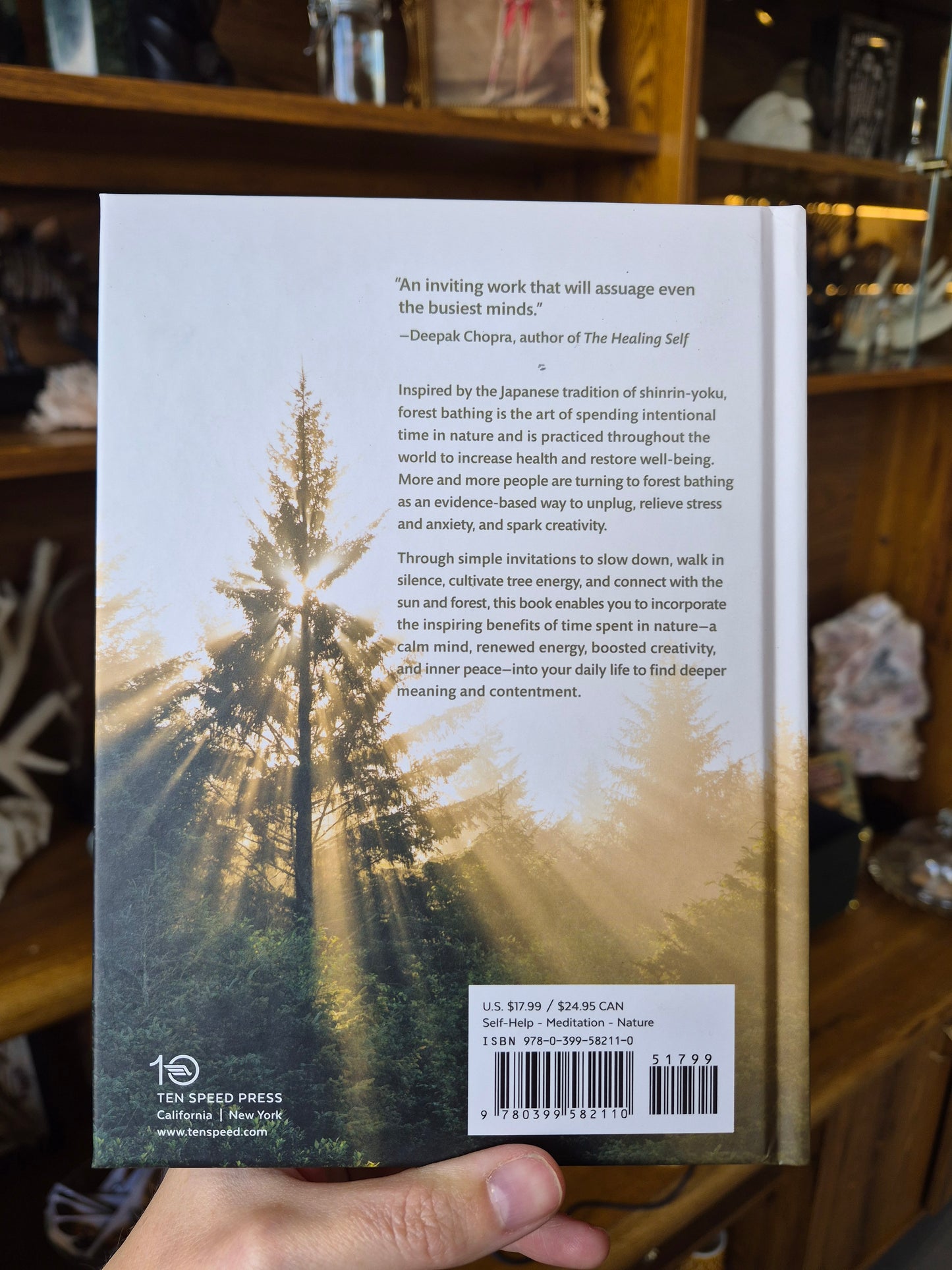 The Healing Magic of Forest Bathing