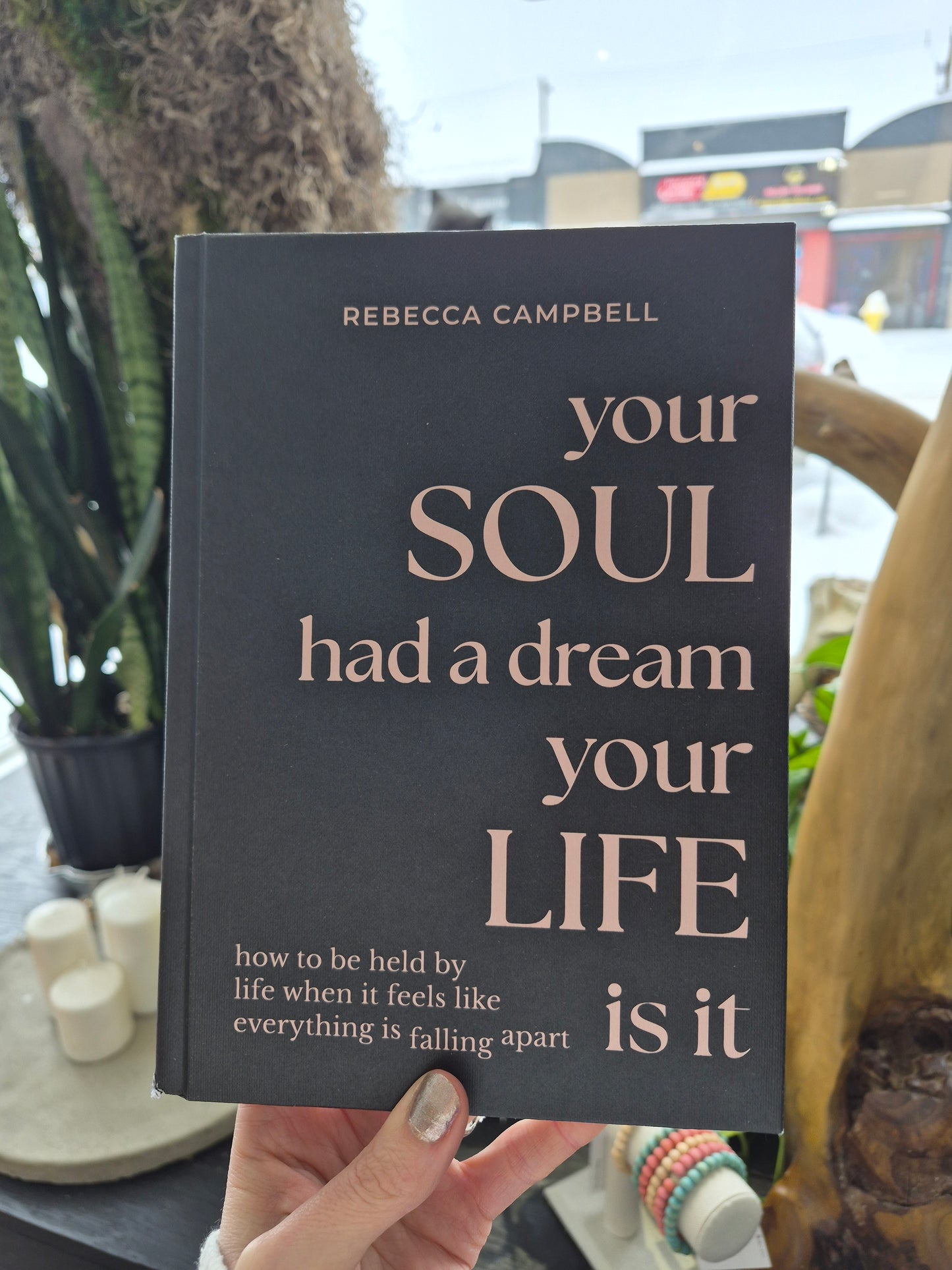 Your Soul Had A Dream, Your LIFE is it