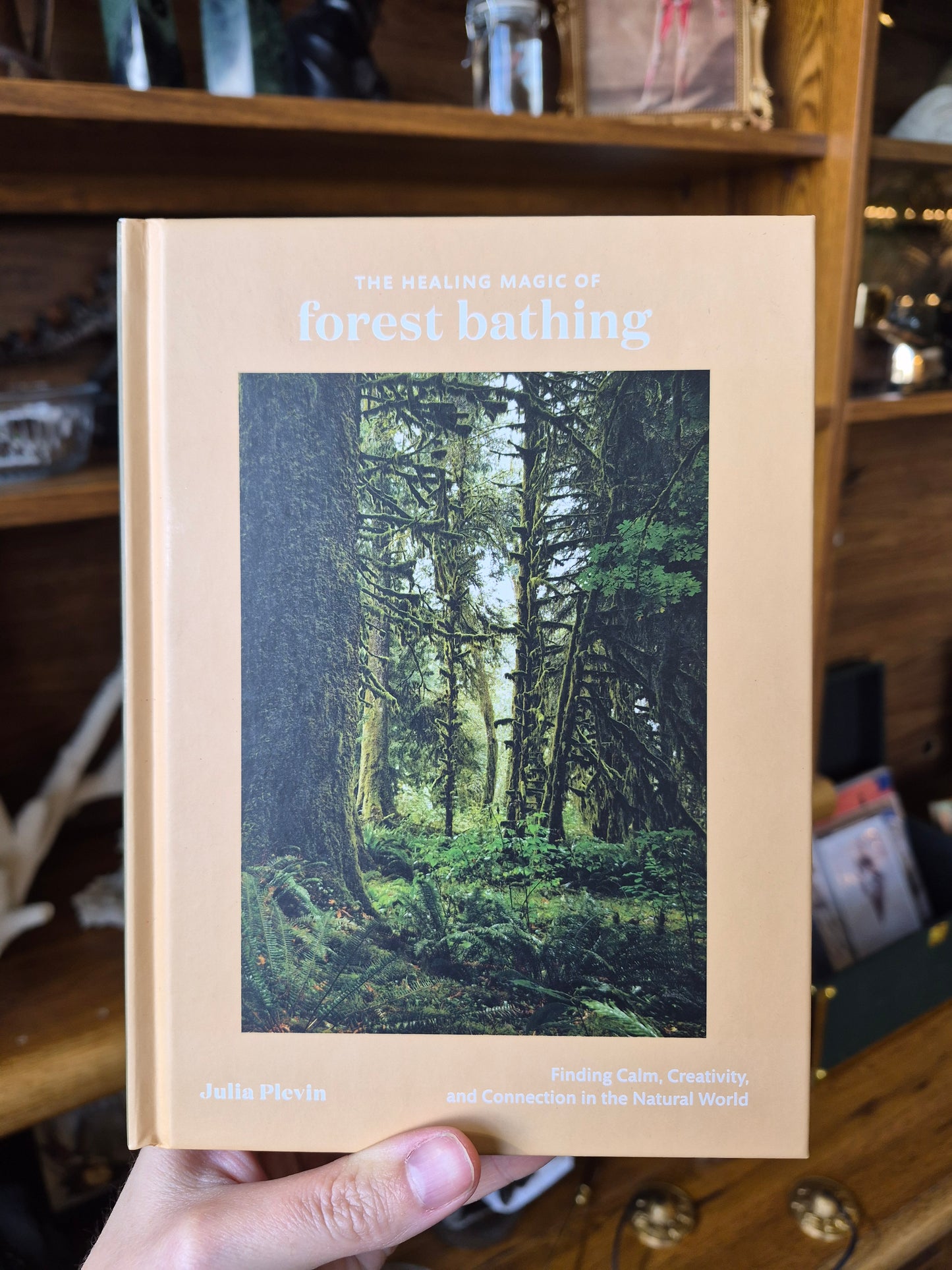 The Healing Magic of Forest Bathing